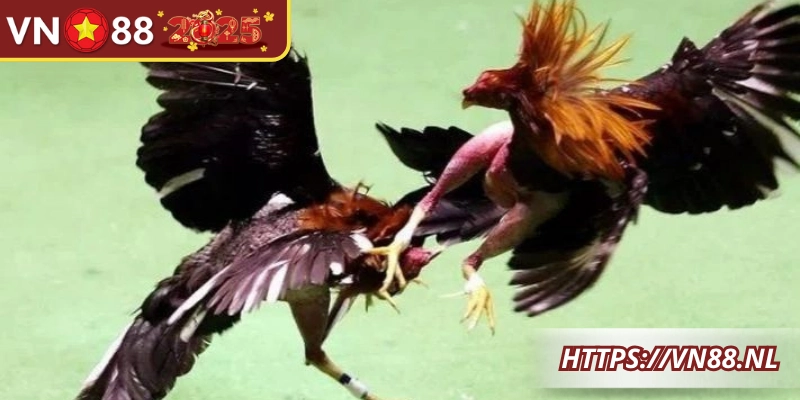 Học hỏi từ thực tế giúp quan sát, phân tích và ra quyết định chuẩn xác