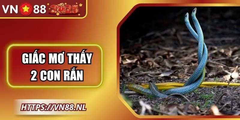 Giấc Mơ Thấy 2 Con Rắn Và Con Số Lô Đề Mang Vận May