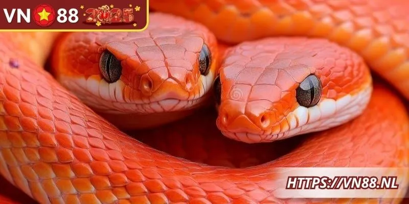 Giấc mơ bị đuổi theo liên quan đến phản vận và những số