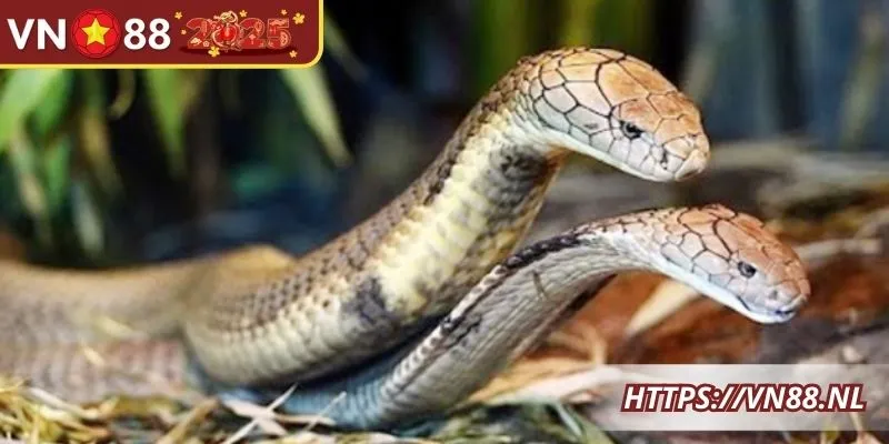 Thời điểm xảy ra giấc mơ có thể ứng ngay cho lô đề