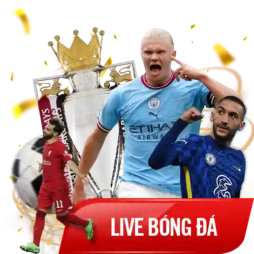 Live Bóng Đá Thể Thao Vn88